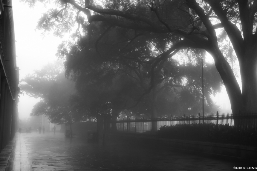Southern Mist